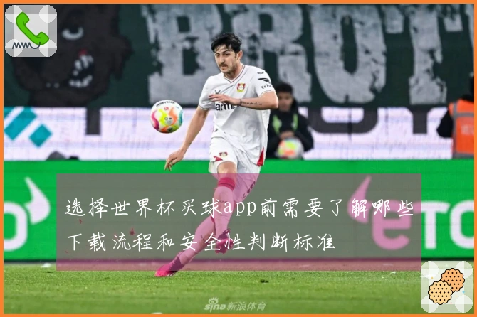 选择世界杯买球app前需要了解哪些下载流程和安全性判断标准