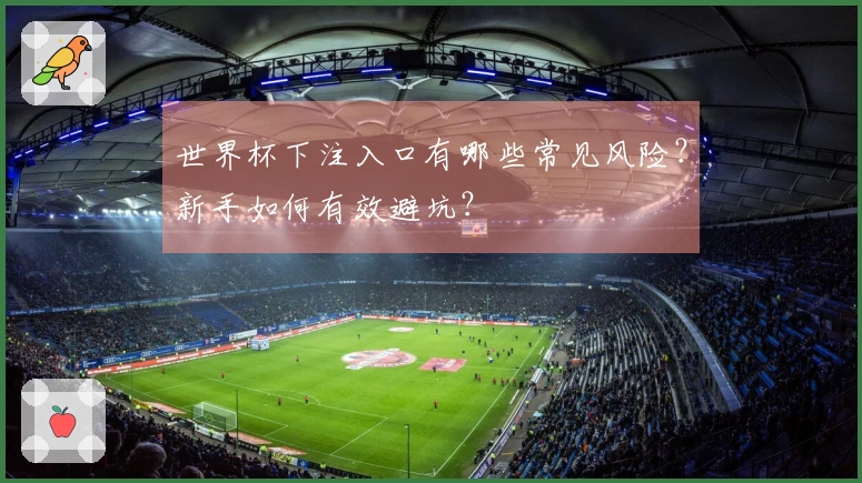 世界杯下注入口有哪些常见风险？新手如何有效避坑？