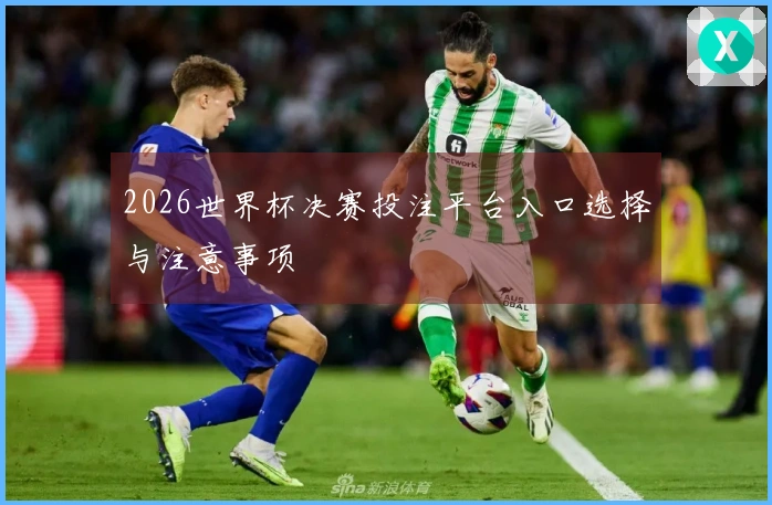 2026世界杯决赛投注平台入口选择与注意事项