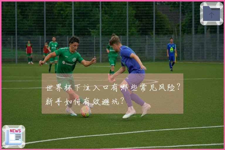 世界杯下注入口有哪些常见风险？新手如何有效避坑？