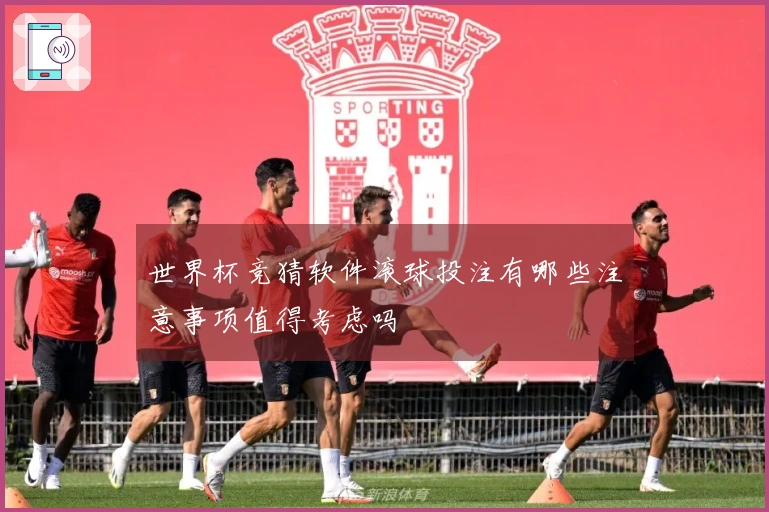 世界杯竞猜软件滚球投注有哪些注意事项值得考虑吗
