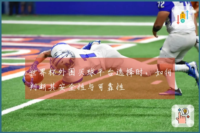 亚星官网体育资讯配图