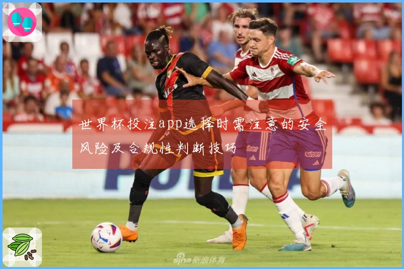 世界杯投注app选择时需注意的安全风险及合规性判断技巧